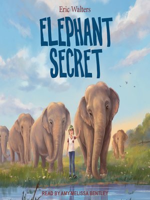 cover image of Elephant Secret